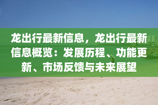 龍出行最新信息，龍出行最新信息概覽：發(fā)展歷程、功能更新、市場反饋與未來展望