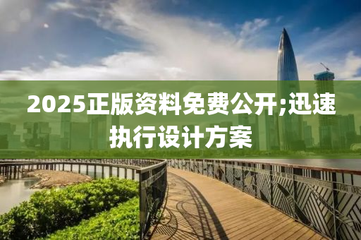 2025正版資料免費公開;迅速執(zhí)行設(shè)計方案