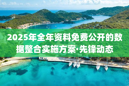 2025年全年資料免費(fèi)公開的數(shù)據(jù)整合實(shí)施方案·先鋒動(dòng)態(tài)