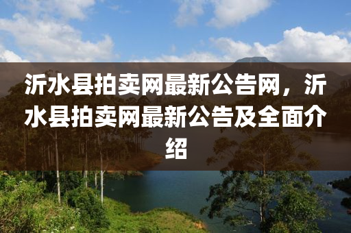 沂水縣拍賣網(wǎng)最新公告網(wǎng)，沂水縣拍賣網(wǎng)最新公告及全面介紹