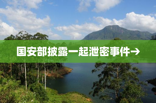 國(guó)安部披露一起泄密事件→