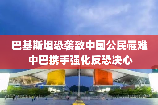 巴基斯坦恐襲致中國公民罹難 中巴攜手強化反恐決心