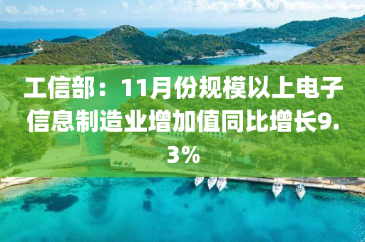 工信部：11月份規(guī)模以上電子信息制造業(yè)增加值同比增長9.3%