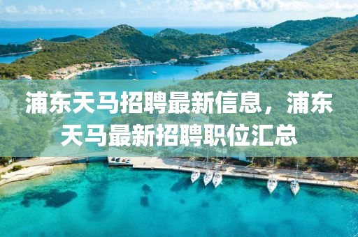 浦東天馬招聘最新信息，浦東天馬最新招聘職位匯總