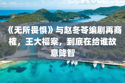 《無所畏懼》與趙冬苓編劇再商榷，王大福案，到底在給誰故意降智