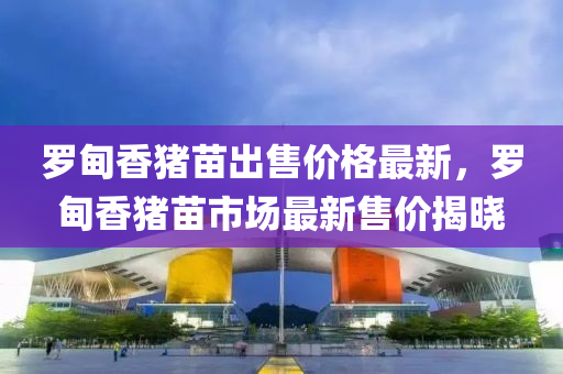 羅甸香豬苗出售價格最新，羅甸香豬苗市場最新售價揭曉