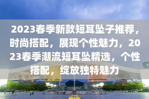 2023春季新款短耳墜子推薦，時尚搭配，展現個性魅力，2023春季潮流短耳墜精選，個性搭配，綻放獨特魅力
