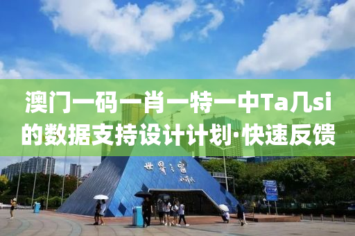 澳門一碼一肖一特一中Ta幾si的數(shù)據(jù)支持設(shè)計計劃·快速反饋