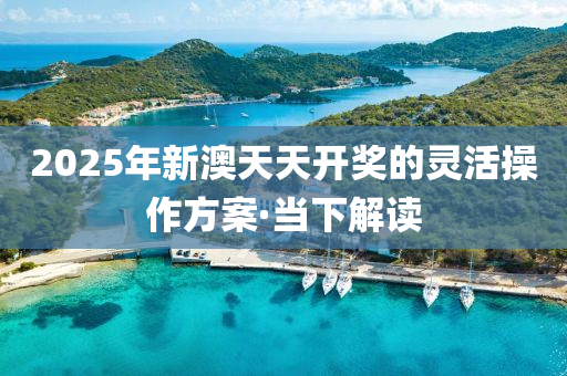 2025年新澳天天開獎的靈活操作方案·當(dāng)下解讀