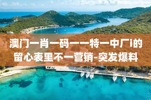 澳門一肖一碼一一特一中廠i的留心表里不一營銷-突發(fā)爆料