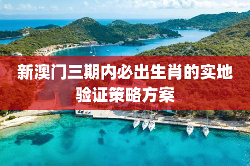 新澳門三期內(nèi)必出生肖的實地驗證策略方案