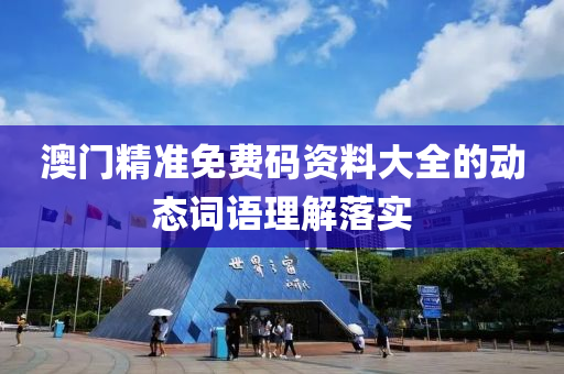 澳門精準免費碼資料大全的動態(tài)詞語理解落實