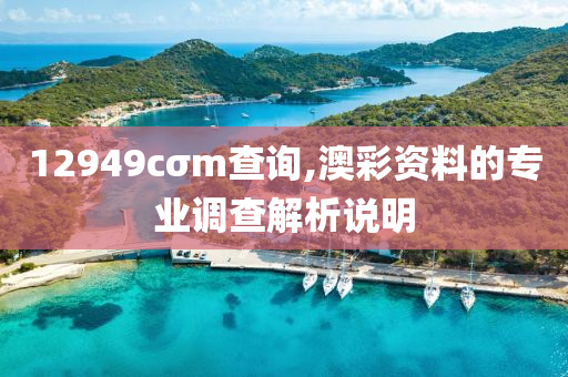 12949cσm查詢,澳彩資料的專業(yè)調(diào)查解析說明