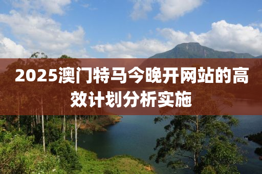 2025澳門特馬今晚開網(wǎng)站的高效計(jì)劃分析實(shí)施