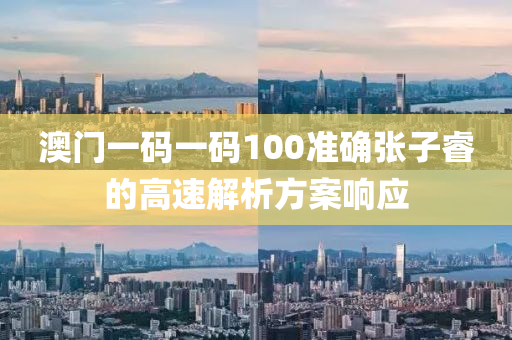 澳門一碼一碼100準確張子睿的高速解析方案響應