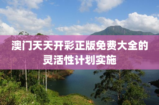 澳門天天開彩正版免費大全的靈活性計劃實施