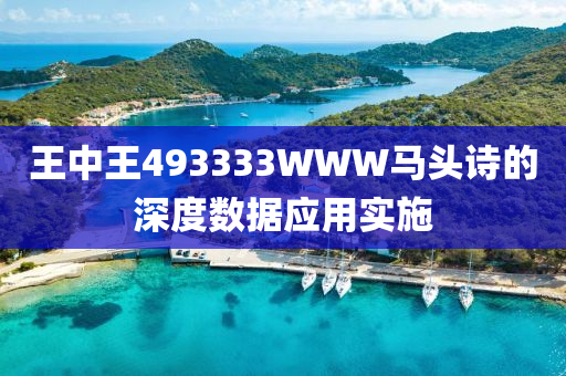 王中王493333WWW馬頭詩(shī)的深度數(shù)據(jù)應(yīng)用實(shí)施