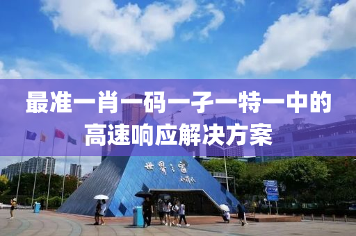 最準一肖一碼一孑一特一中的高速響應(yīng)解決方案