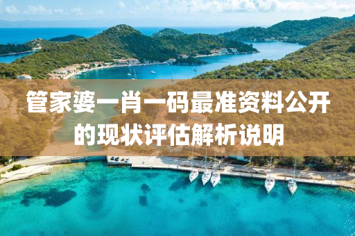 管家婆一肖一碼最準資料公開的現(xiàn)狀評估解析說明