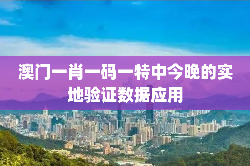澳門一肖一碼一特中今晚的實(shí)地驗(yàn)證數(shù)據(jù)應(yīng)用