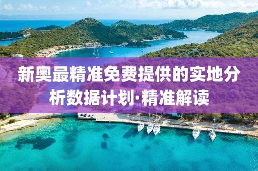 新奧最精準(zhǔn)免費(fèi)提供的實(shí)地分析數(shù)據(jù)計(jì)劃·精準(zhǔn)解讀