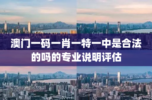 澳門一碼一肖一特一中是合法的嗎的專業(yè)說明評(píng)估