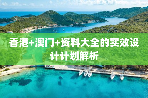 香港+澳門+資料大全的實效設計計劃解析