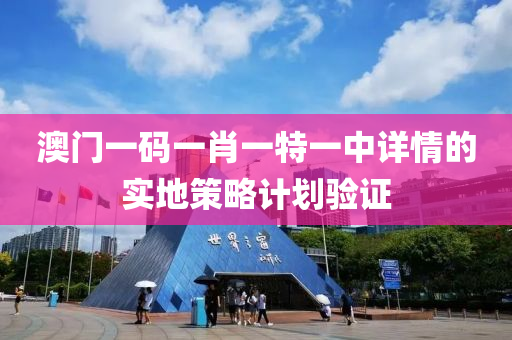 澳門一碼一肖一特一中詳情的實地策略計劃驗證