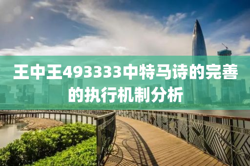王中王493333中特馬詩(shī)的完善的執(zhí)行機(jī)制分析