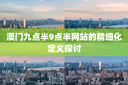 澳門(mén)九點(diǎn)半9點(diǎn)半網(wǎng)站的精細(xì)化定義探討