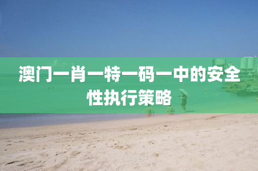 澳門一肖一特一碼一中的安全性執(zhí)行策略