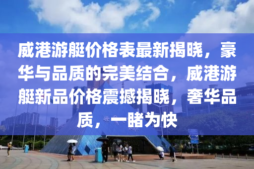 威港游艇價格表最新揭曉，豪華與品質(zhì)的完美結(jié)合，威港游艇新品價格震撼揭曉，奢華品質(zhì)，一睹為快