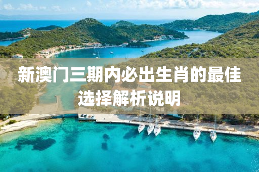 新澳門三期內(nèi)必出生肖的最佳選擇解析說明