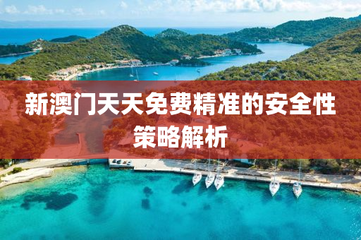 新澳門天天免費(fèi)精準(zhǔn)的安全性策略解析
