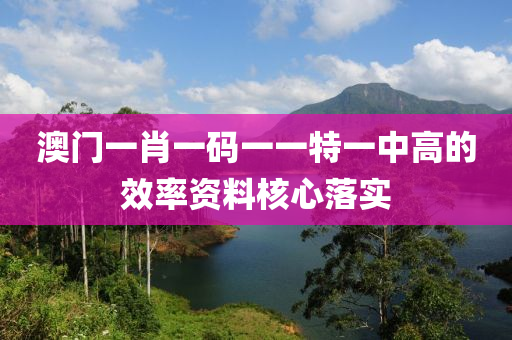 澳門一肖一碼一一特一中高的效率資料核心落實(shí)