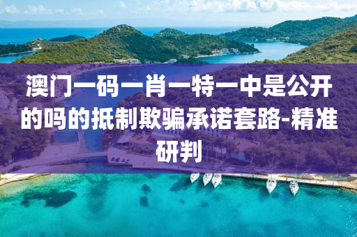 澳門一碼一肖一特一中是公開的嗎的抵制欺騙承諾套路-精準研判