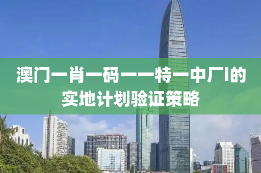 澳門一肖一碼一一特一中廠i的實(shí)地計(jì)劃驗(yàn)證策略