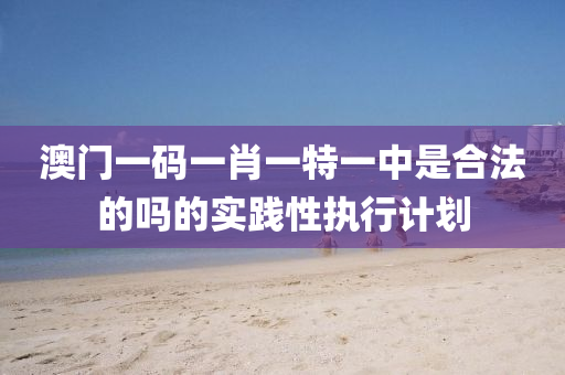 澳門一碼一肖一特一中是合法的嗎的實(shí)踐性執(zhí)行計(jì)劃