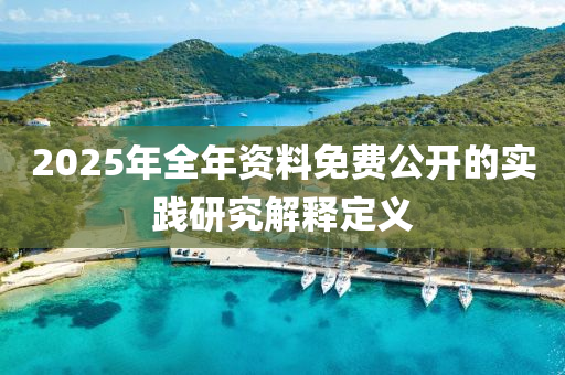 2025年全年資料免費(fèi)公開的實(shí)踐研究解釋定義