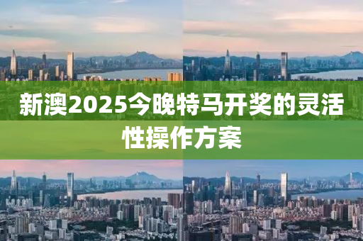 新澳2025今晚特馬開獎的靈活性操作方案