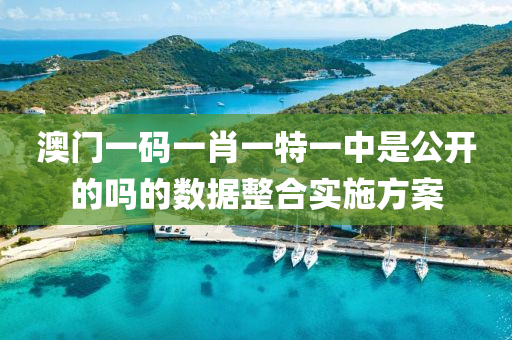 澳門一碼一肖一特一中是公開的嗎的數(shù)據(jù)整合實施方案