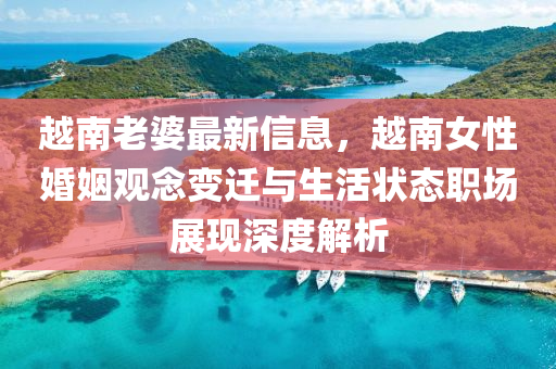 越南老婆最新信息，越南女性婚姻觀念變遷與生活狀態(tài)職場展現(xiàn)深度解析