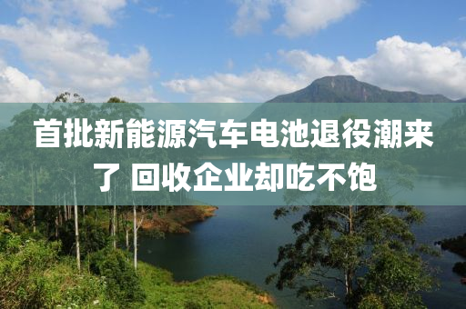 首批新能源汽車(chē)電池退役潮來(lái)了 回收企業(yè)卻吃不飽
