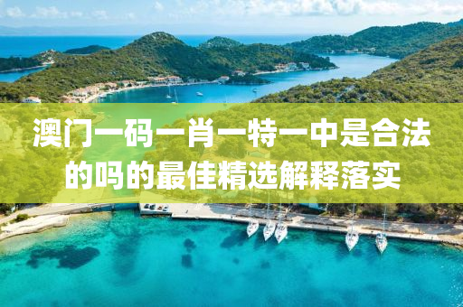 澳門一碼一肖一特一中是合法的嗎的最佳精選解釋落實