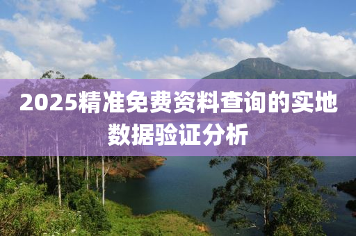 2025精準(zhǔn)免費(fèi)資料查詢的實(shí)地?cái)?shù)據(jù)驗(yàn)證分析