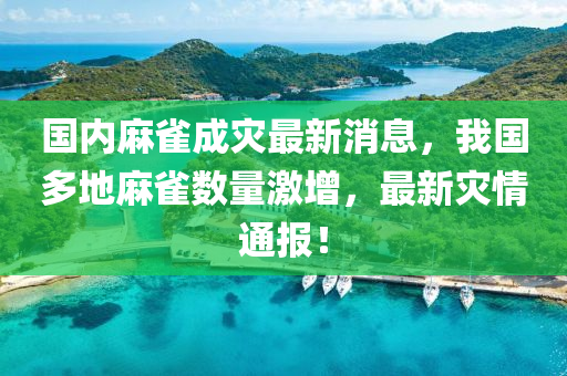 國內麻雀成災最新消息，我國多地麻雀數(shù)量激增，最新災情通報！