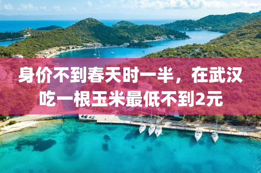 身價(jià)不到春天時(shí)一半，在武漢吃一根玉米最低不到2元