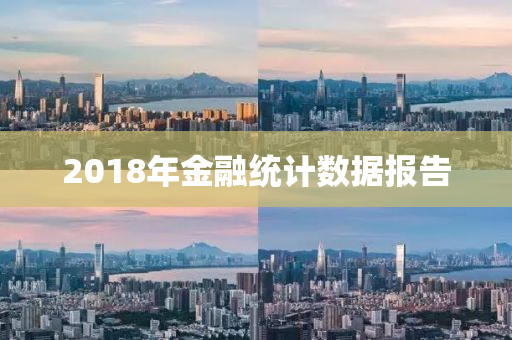 2018年金融統(tǒng)計數(shù)據(jù)報告