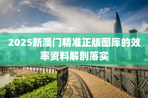 2025新澳門精準(zhǔn)正版圖庫的效率資料解剖落實(shí)