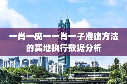 一肖一碼一一肖一子準(zhǔn)確方法的實(shí)地執(zhí)行數(shù)據(jù)分析